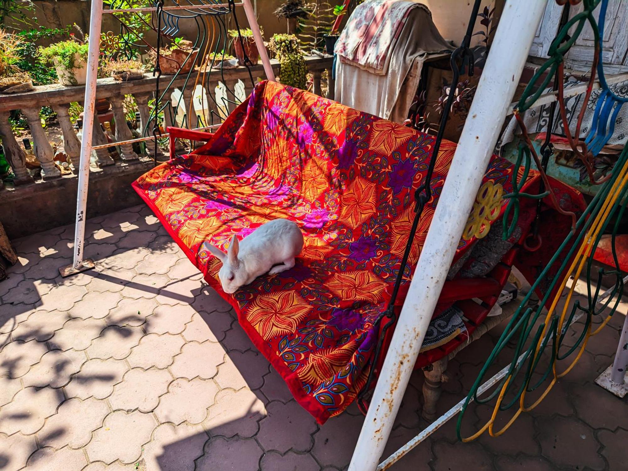 فيلا Jaat House بهوي المظهر الخارجي الصورة